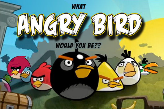  Angry Birds -  2